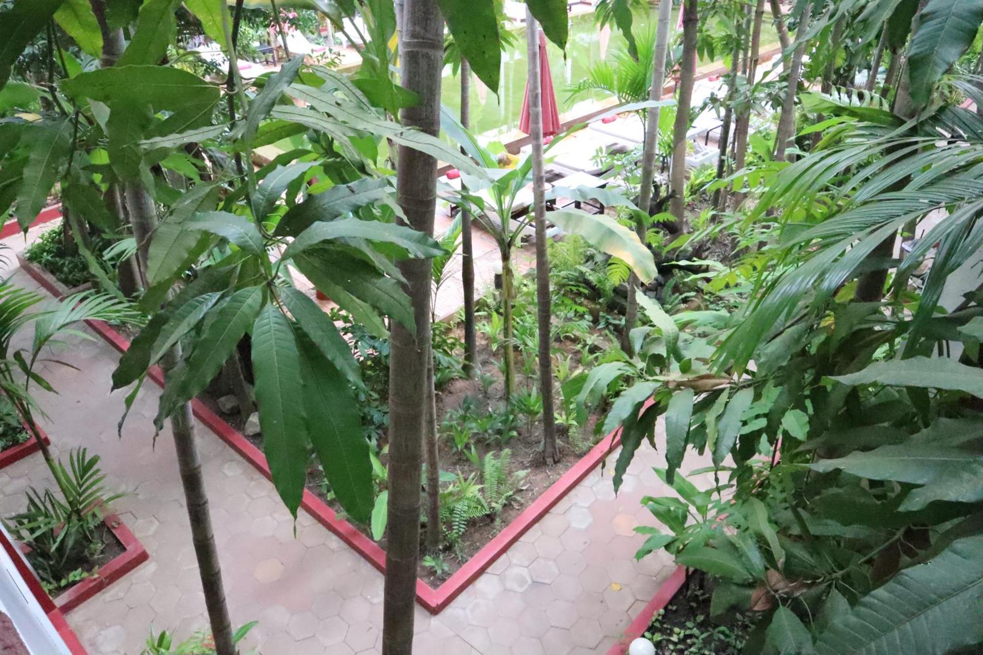 La Niche D'Angkor Boutique Hotel Сиемрип Экстерьер фото